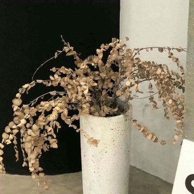 兽设动态姿势参考福瑞交流群